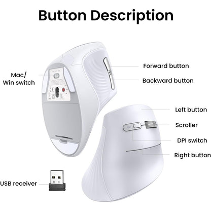 Vertical Ergonomic Mouse, Bluetooth & 2.4G, Silent Quiet Clicks, 5 Buttons